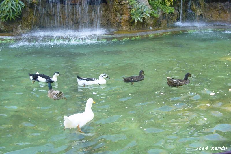 Foto de Cádiz (Andalucía), España