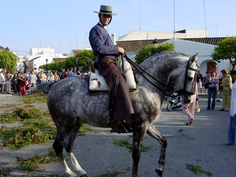Foto de Estepona (Málaga), España