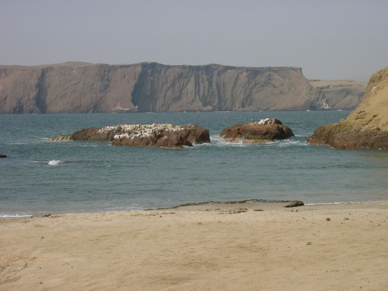 Foto de Pisco, Perú