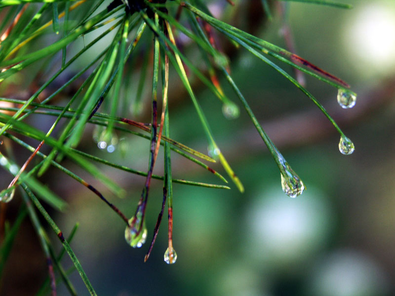 Foto de Sierra de Cazorla (Jaén), España