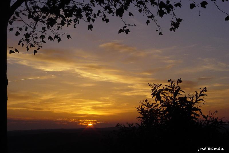 Foto de Jerez de la Frontera (Cádiz), España
