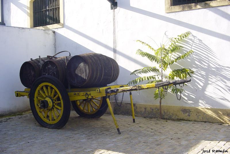 Foto de Jerez de la Frontera (Cádiz), España