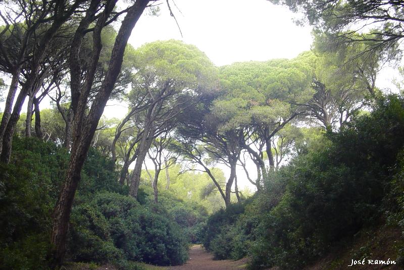 Foto de Puerto Real (Cádiz), España
