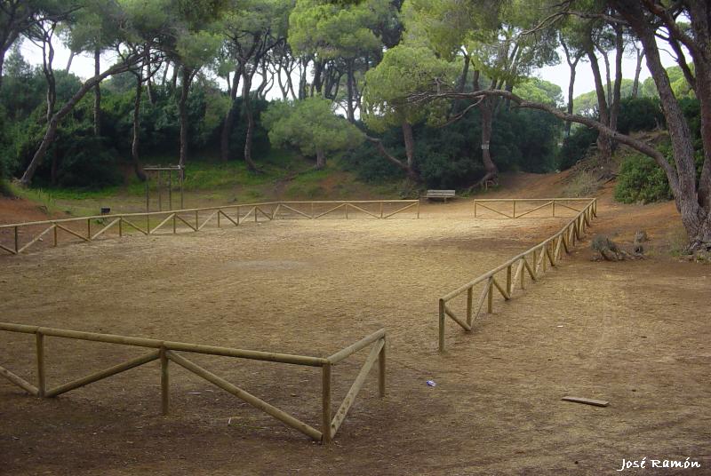 Foto de Puerto Real (Cádiz), España