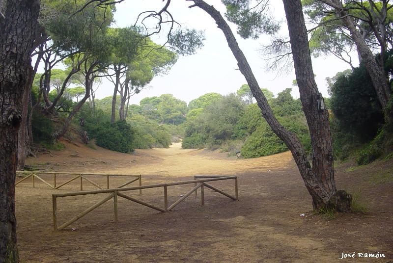 Foto de Puerto Real (Cádiz), España