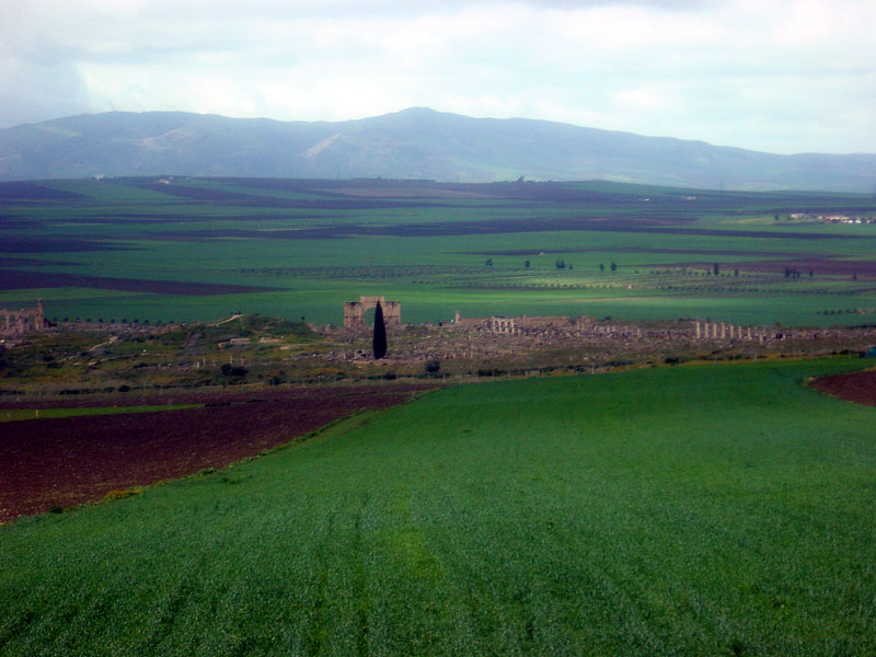 Foto de Volúbilis, Marruecos