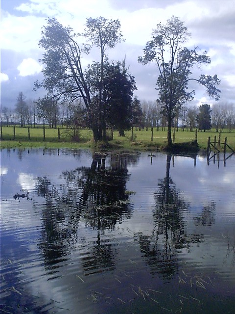 Foto de Puyehue, Chile