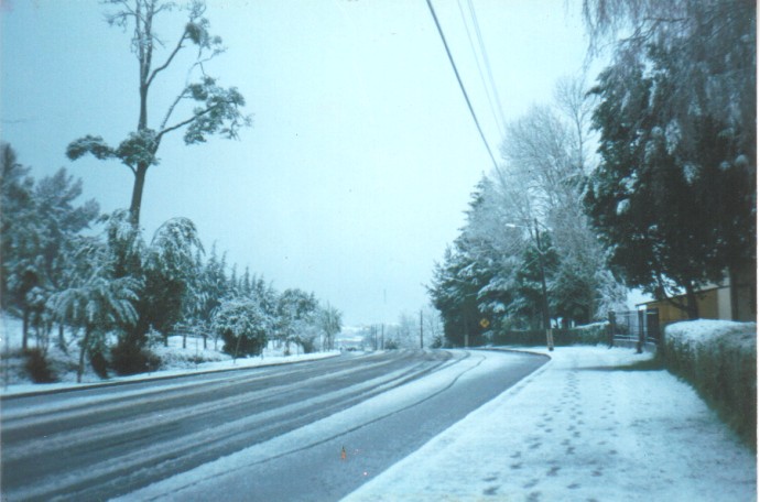 Foto de Entre Lagos - Puyehue, Chile