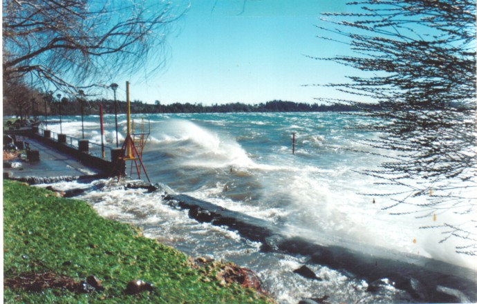 Foto de Entre Lagos - Puyehue, Chile