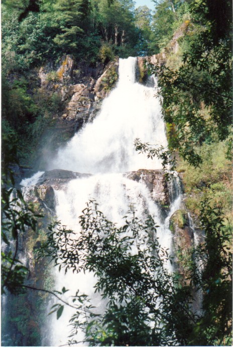 Foto de Puyehue, Chile