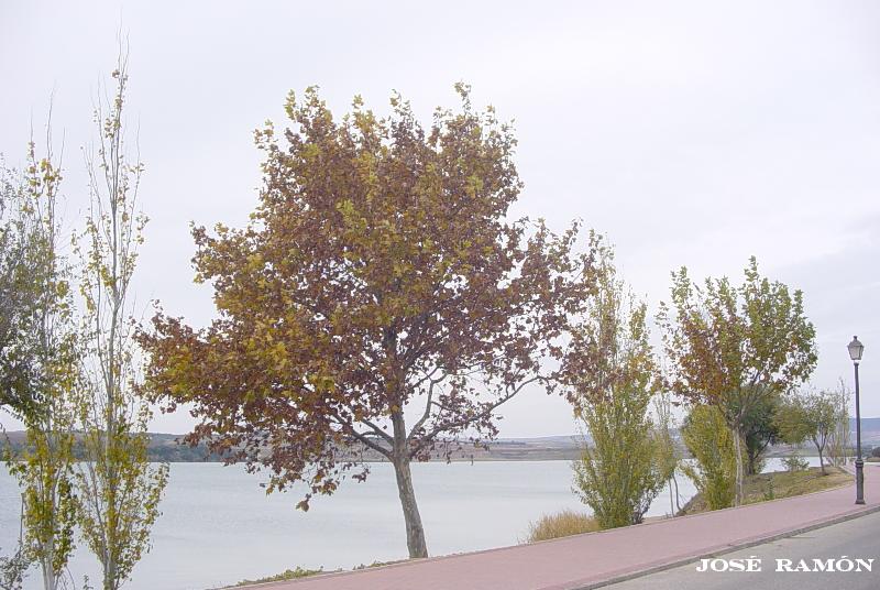 Foto de Arcos de la Frontera (Cádiz), España