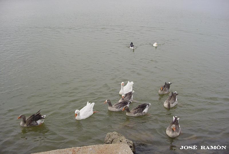 Foto de Arcos de la Frontera (Cádiz), España