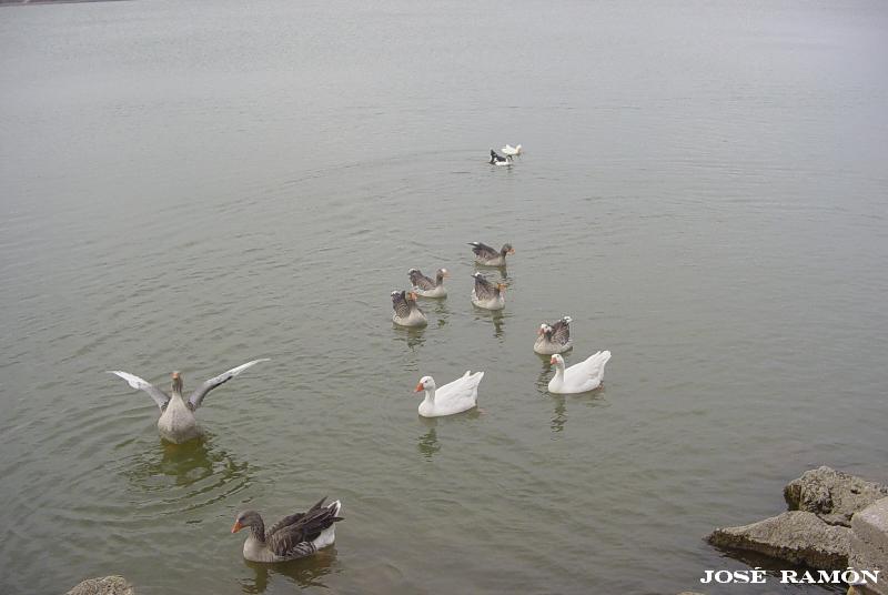 Foto de Arcos de la Frontera (Cádiz), España
