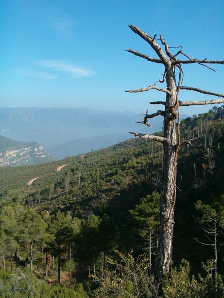 Foto de Bigues i Riells (Barcelona), España