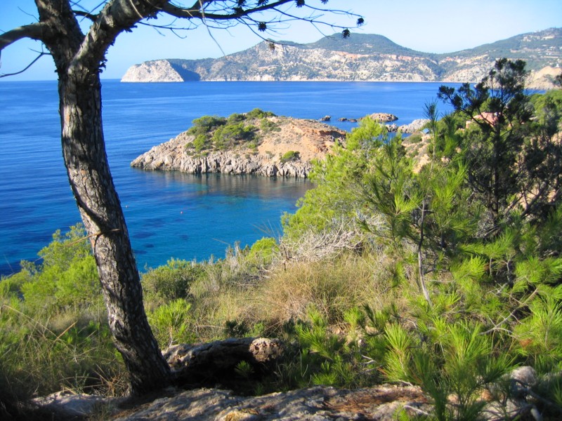 Foto de Ibiza (Illes Balears), España