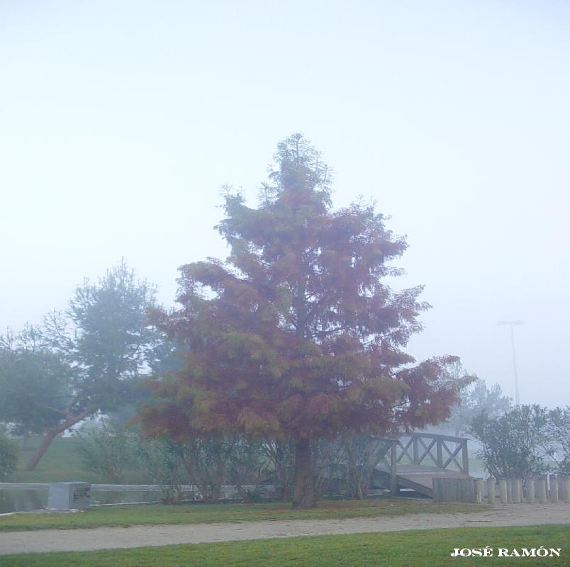 Foto de Jerez de la Frontera (Cádiz), España