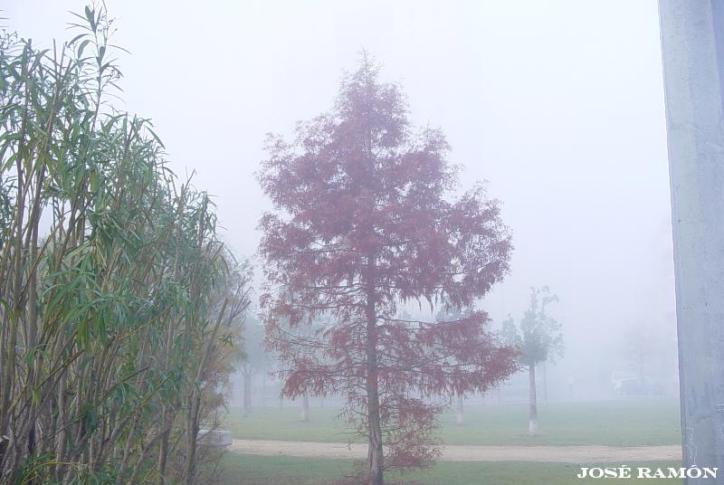 Foto de Jerez de la Frontera (Cádiz), España