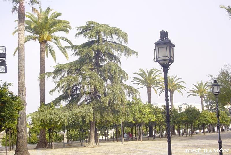 Foto de Jerez de la Frontera (Cádiz), España