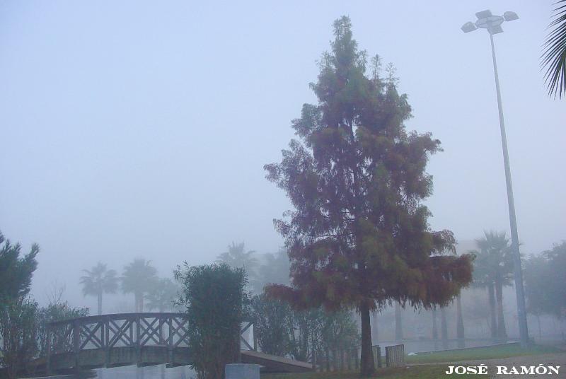 Foto de Jerez de la Frontera (Cádiz), España