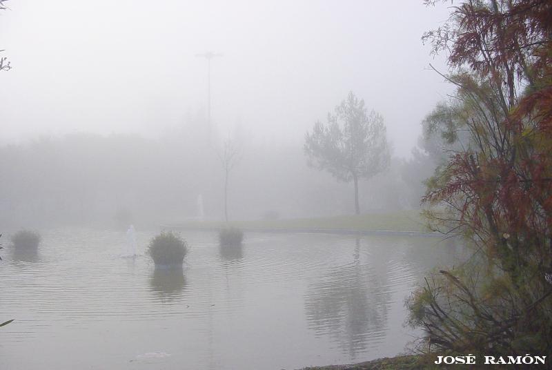 Foto de Jerez de la Frontera (Cádiz), España