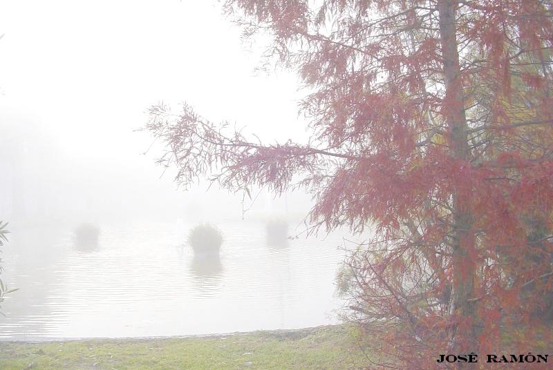 Foto de Jerez de la Frontera (Cádiz), España