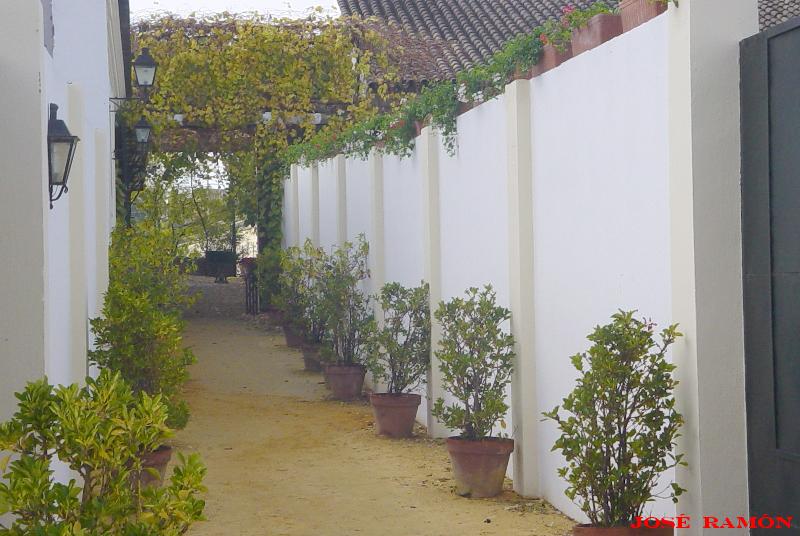 Foto de Jerez de la Frontera (Cádiz), España