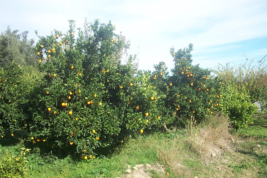 Foto de Canjáyar (Almería), España