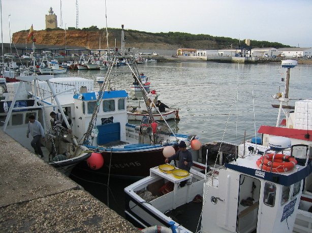 Foto de Conil (Cádiz), España
