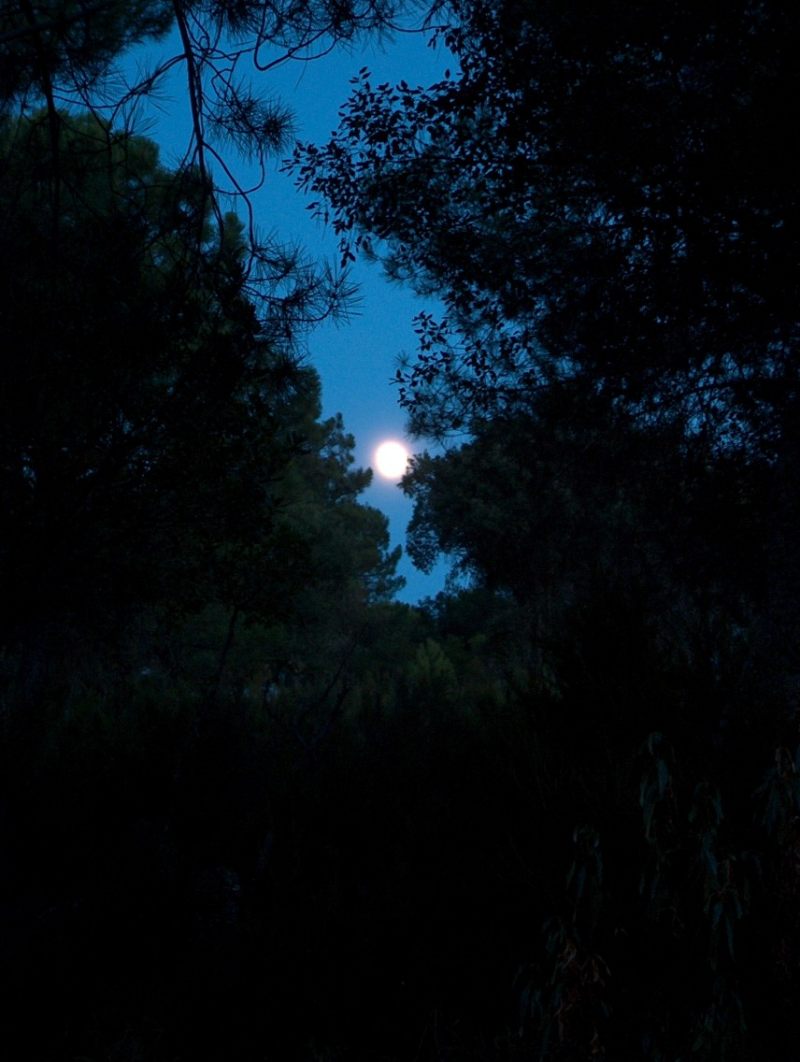 Foto de Helechosa de los Montes (Badajoz), España