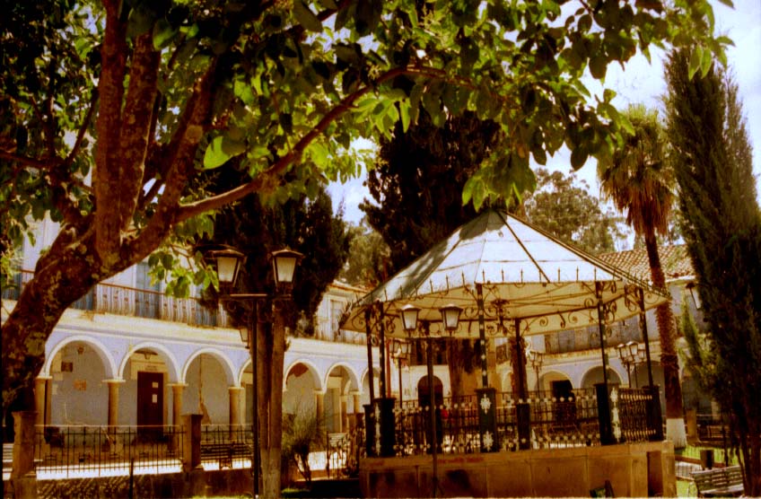 Foto de Totora, Bolivia
