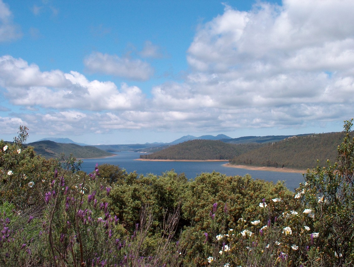 Foto de Helechosa de los Montes (Badajoz), España