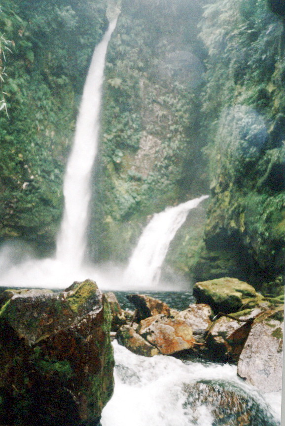 Foto de Pumalin, Chile