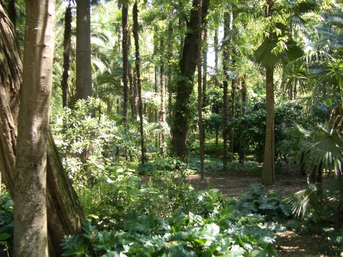 Foto de Sevilla (Andalucía), España