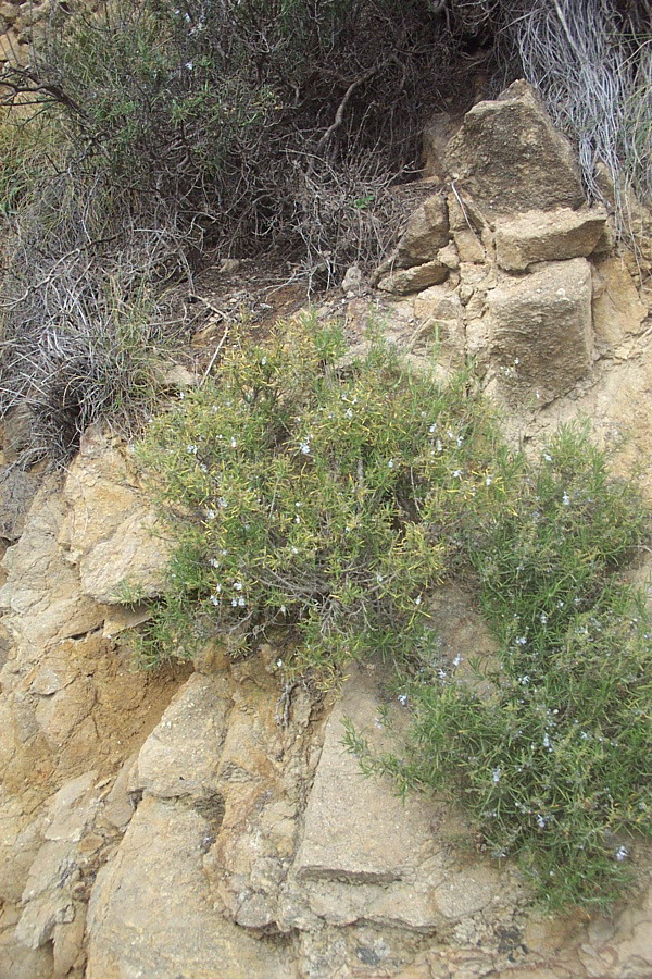 Foto de Canjáyar (Almería), España