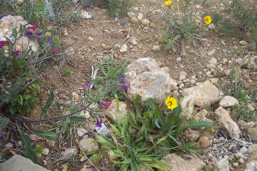 Foto de Canjáyar (Almería), España