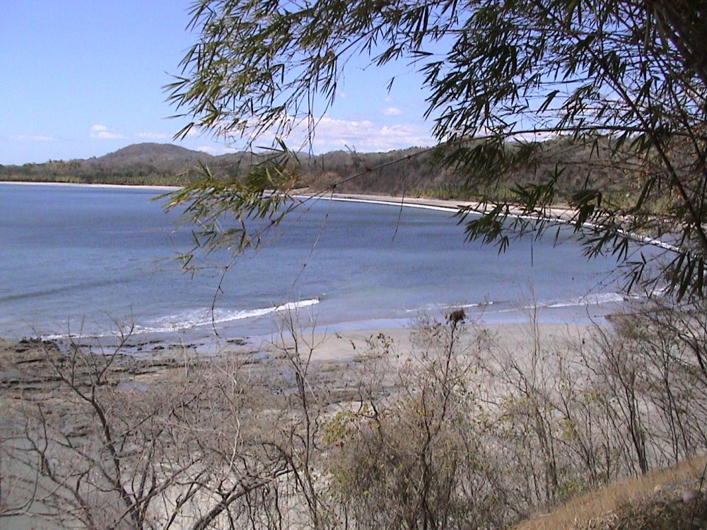 Foto de Carrillo beach, Costa Rica