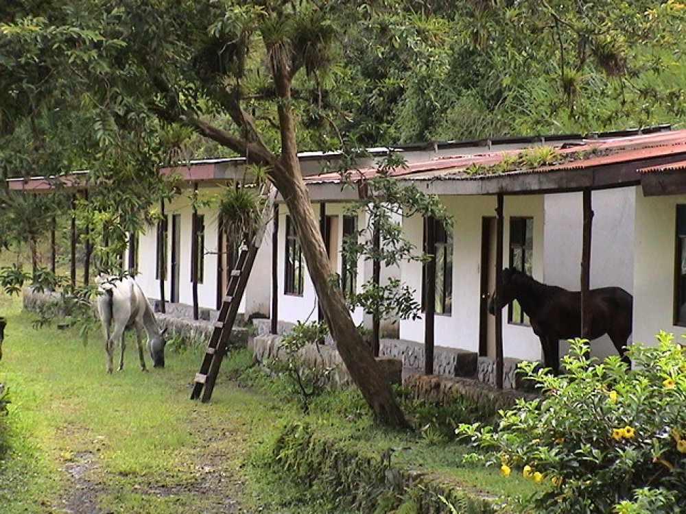 Foto de Orosi, Costa Rica