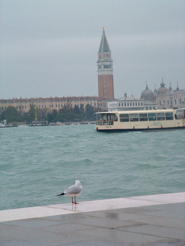 Foto de Venecia - Venice, Italia