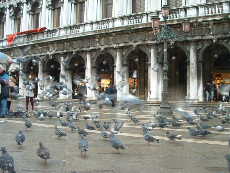 Foto de Venecia - Venice, Italia