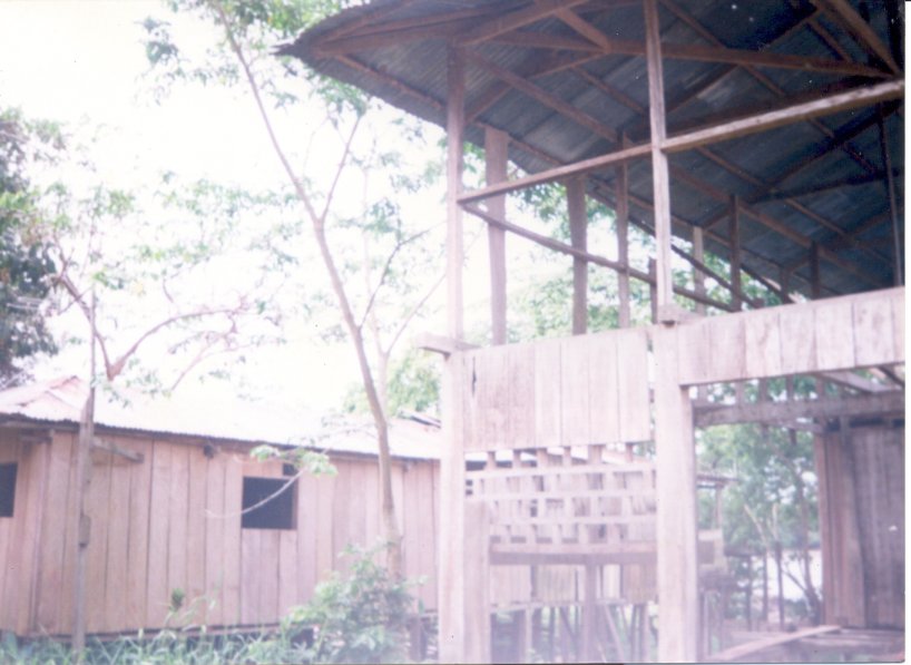 Foto de Pacoa, Colombia