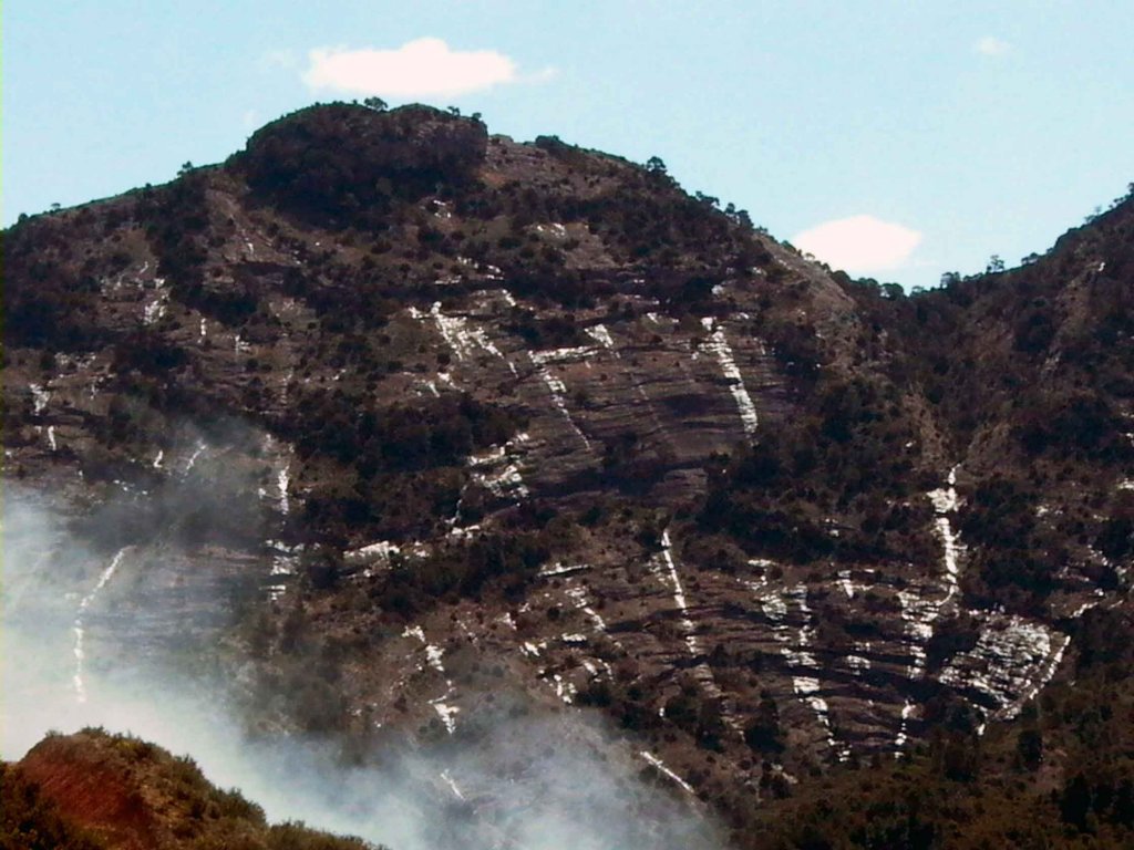 Foto de BOT, España