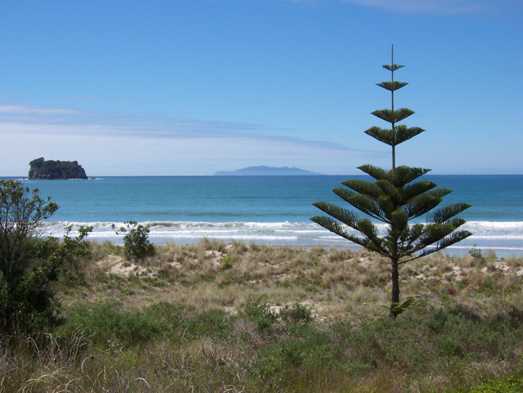 Foto de Coramandal, Nueva Zelanda