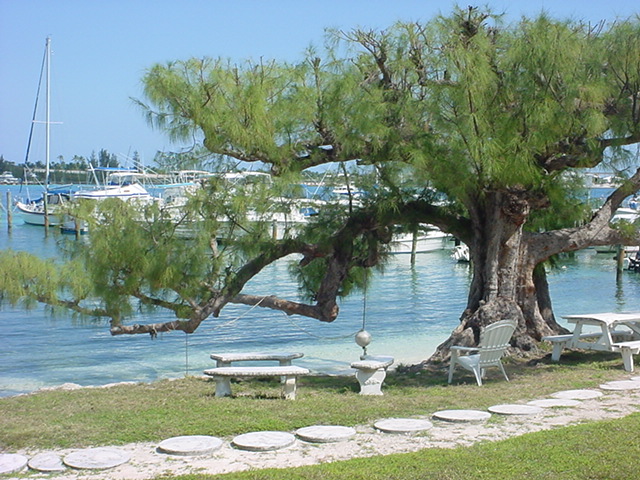 Foto de Nassau Yatch Club, Bahamas
