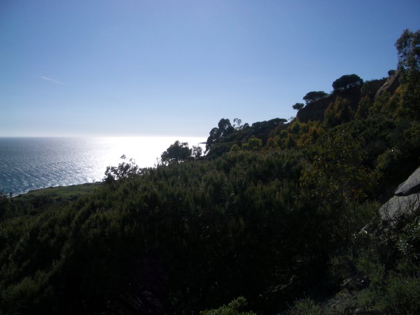 Foto de Tarifa (Cádiz), España