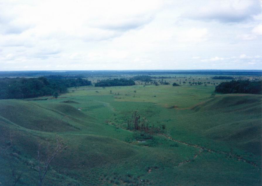 Foto de Cumaribo, Colombia