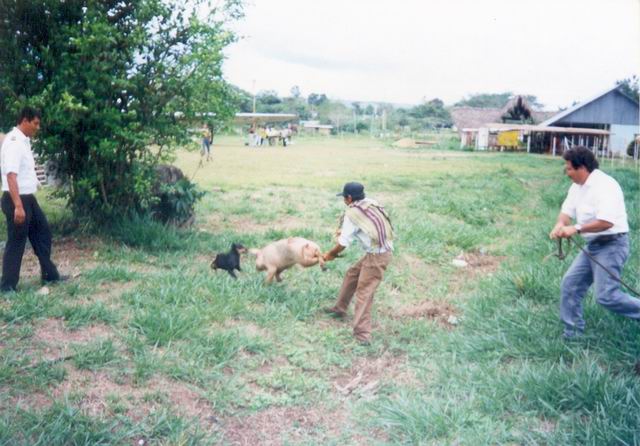 Foto de La Macarena, Colombia