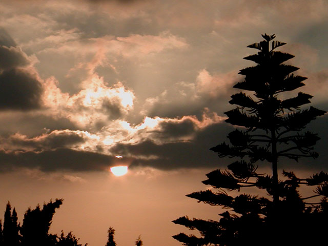 Foto de Conil de la Frontera (Cádiz), España