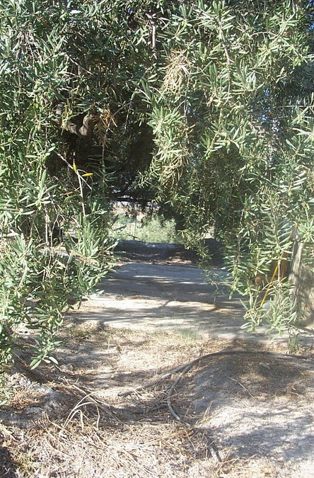 Foto de Canjáyar (Almería), España