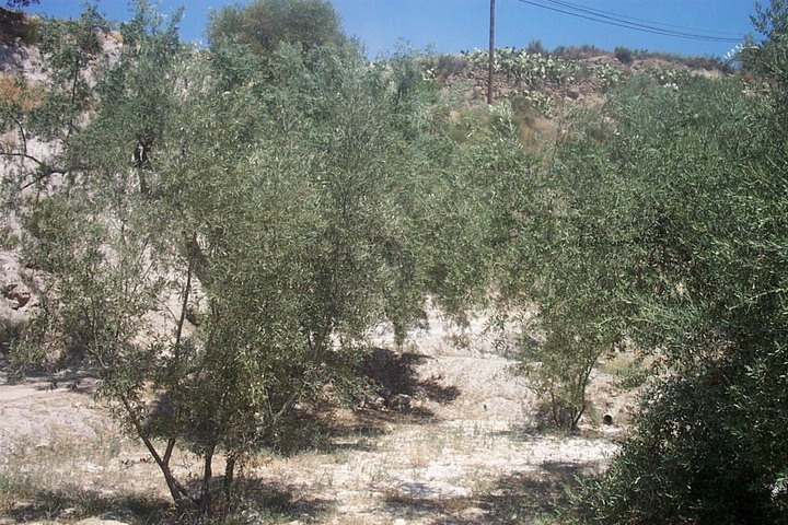 Foto de Canjáyar (Almería), España