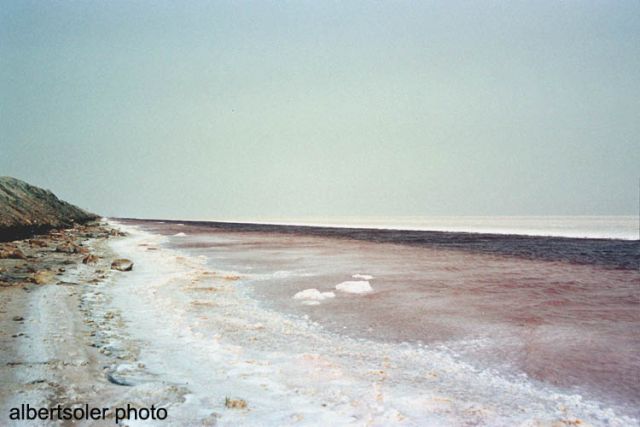 Foto de Chott el-Jerid, Túnez